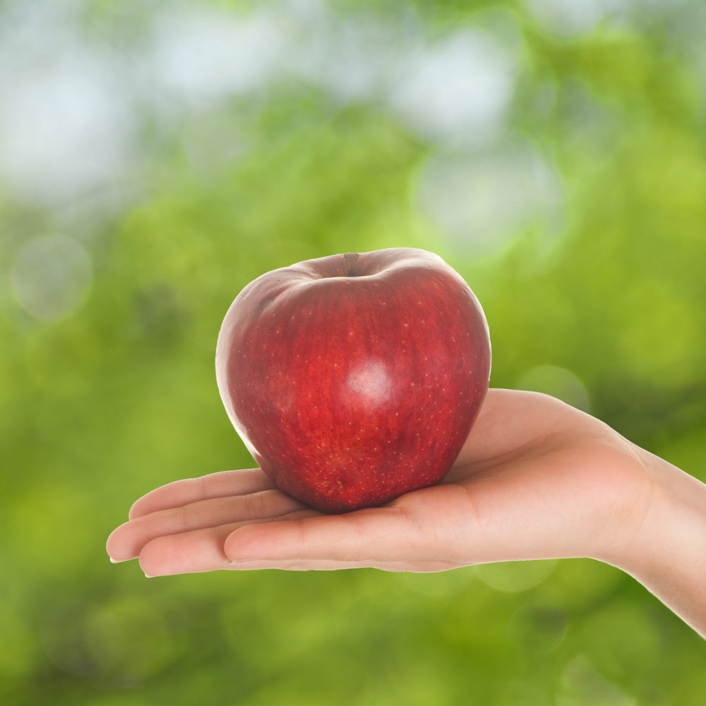 Vigtige fibre for fordøjelsen