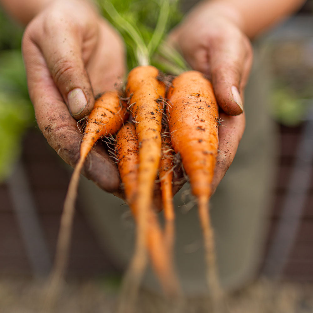 Få mere motion i hverdagen